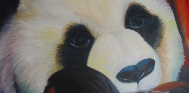 Panda, acrylverf op canvas, 80x80cm, 2012
